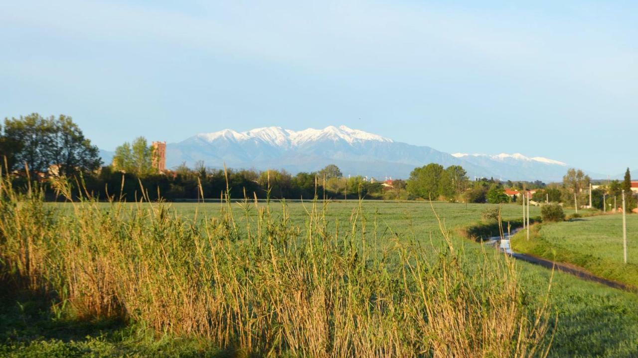 Ma Chambre D'Hotes A Rivesaltes Bagian luar foto